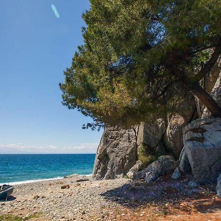 Comfortable Apartment Near The Central Beach Nea Skioni Esterno foto
