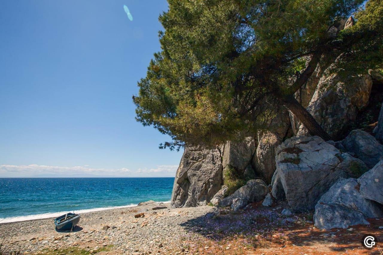 Comfortable Apartment Near The Central Beach Nea Skioni Esterno foto